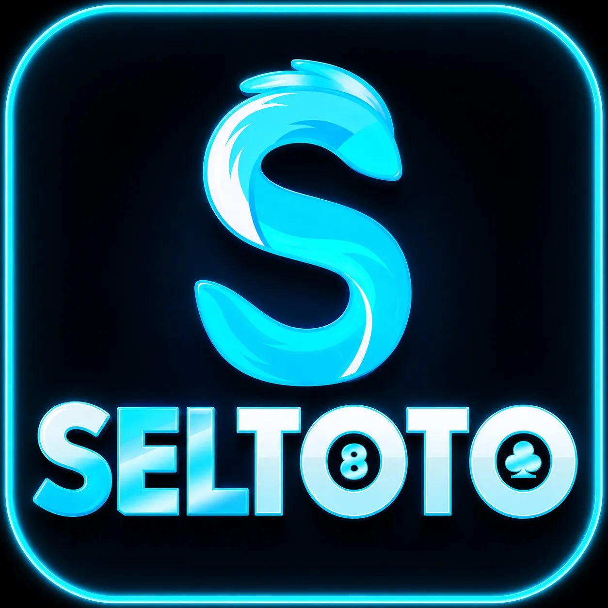 seltoto APK Puzzle